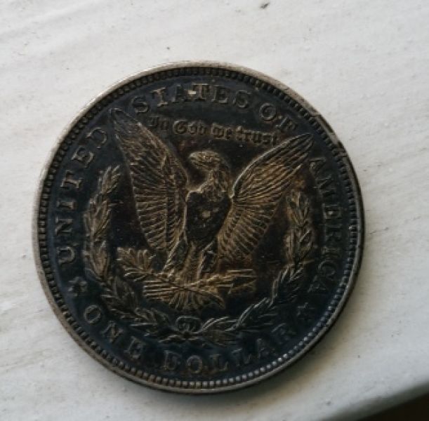 My-First-Coin-Show-Long-Beach-Ca,-Goodies!