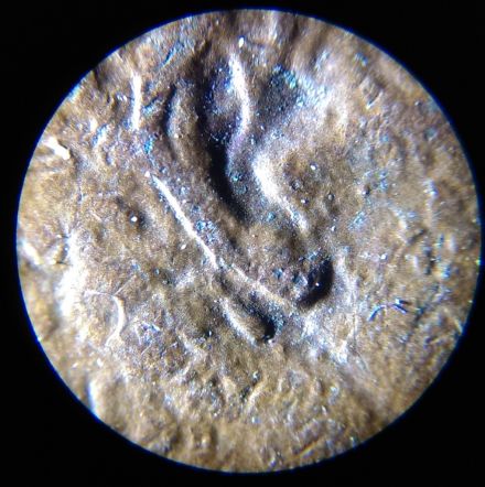 1984-LMC-Possible-Double-Ear.