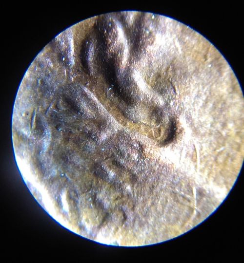 1984-LMC-Possible-Double-Ear.