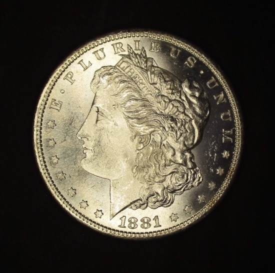 1881-S-Toned-Morgan-Dollar