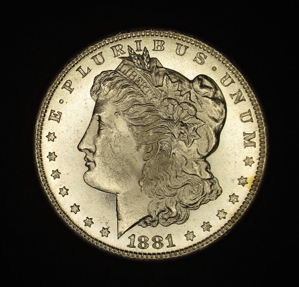 1881-S-Toned-Morgan-Dollar