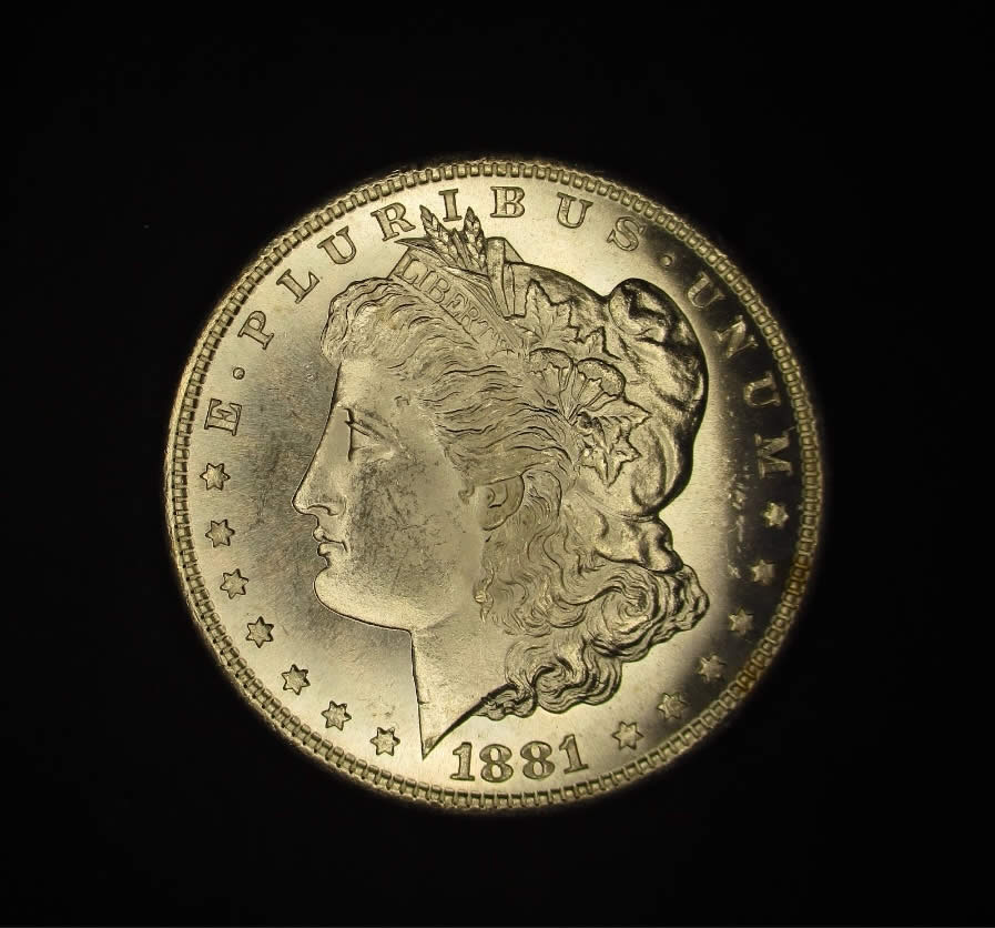 1881-S-Toned-Morgan-Dollar