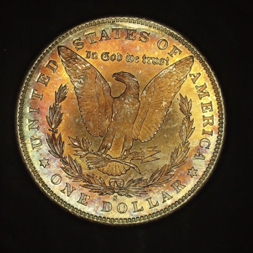 1881-S-Toned-Morgan-Dollar