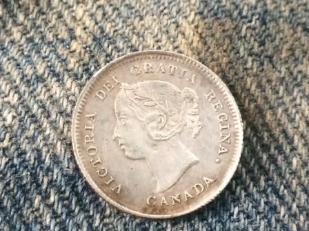 Nice-Day-Digging-For-Coins