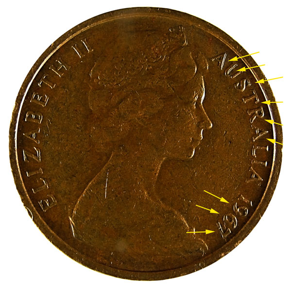 Noodling-Find-Of-The-Week?