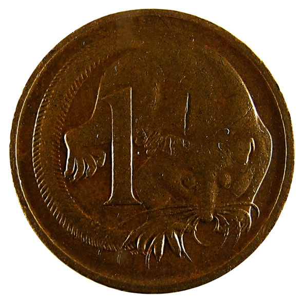 Noodling-Find-Of-The-Week?