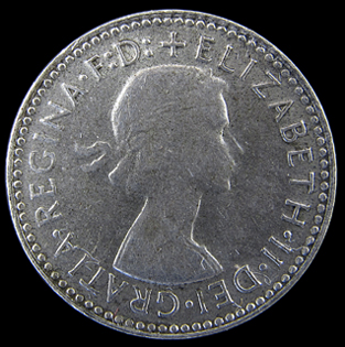 Noodling-Find-Of-The-Week?