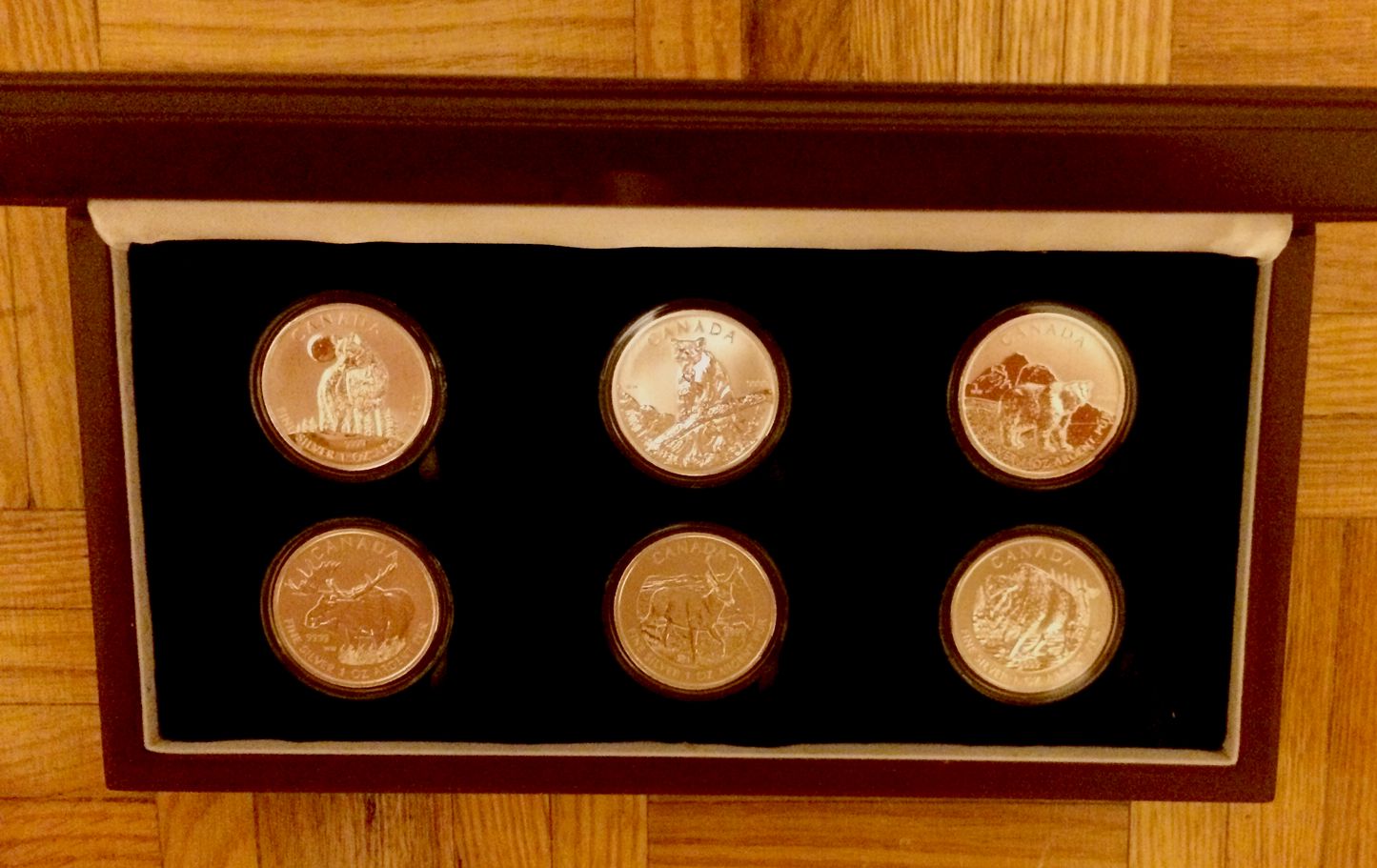 Birds-Of-Prey-Bullion-Series---Quasi-NCLT---Better-Buy