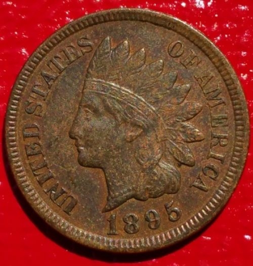 1895-Indian-Head-Cent-For-Grading