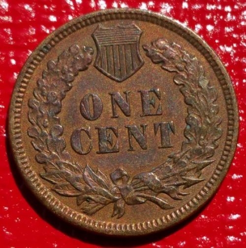 1895-Indian-Head-Cent-For-Grading