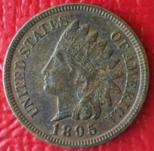 1895-Indian-Head-Cent-For-Grading