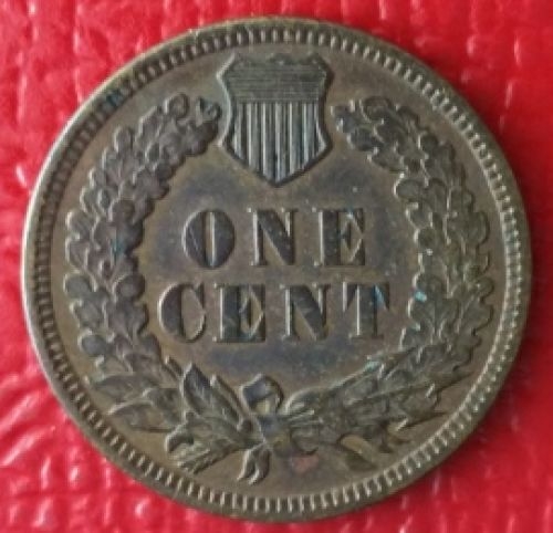 1895-Indian-Head-Cent-For-Grading