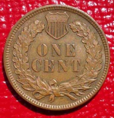 1909-Indian-Head-Cent-For-Grading