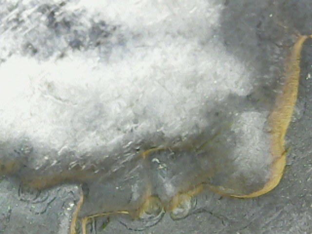 Nice-1969-D-DDO-Half-Dollar-?