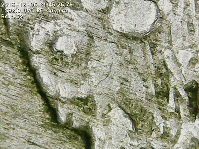 1935-Buffalo-Nickel-Error-DDR