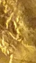 2012-LSC/Possible-Double-Ear?