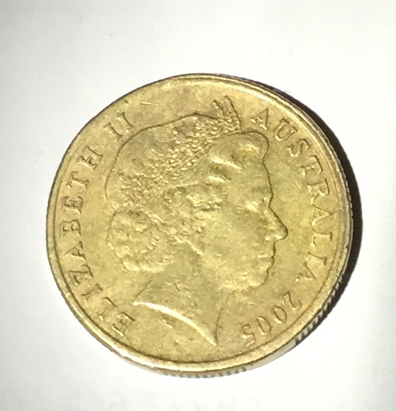 Is-This-A-Year-2005-$1-Coin-A-Mule