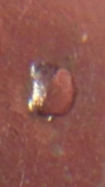 1982-D-Quarter-Filled-D?