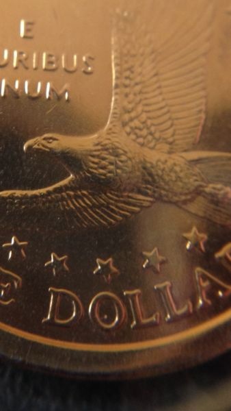 2000-P-Sac-Dollar-Finish
