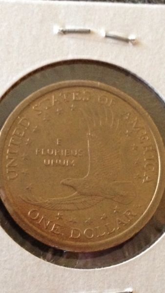 2001-P-Experimental-Rinse-Sac-Dollar?