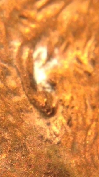 1994-P-Lincoln-Double/Triple-Earlobe-PMD-I'm-Sure?
