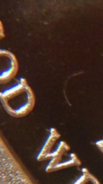 2014-Hoover-Proof-Dollar-Wire?-Hair?