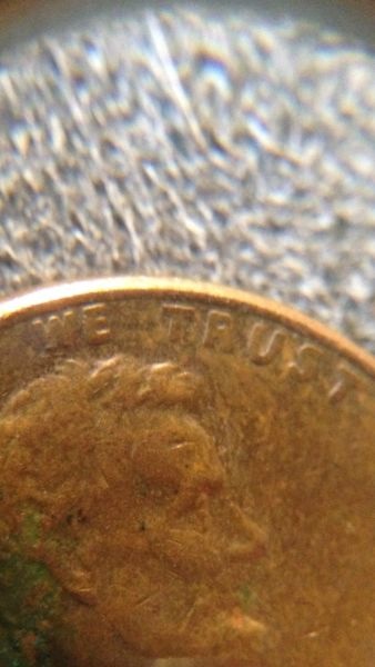 1981-P-LMC--PMD?die-Wear?-Doubling?