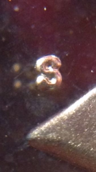1981-SBA-Type-2?