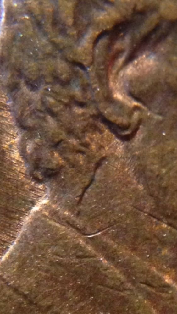 1988-LMC-Earlobe-DDO