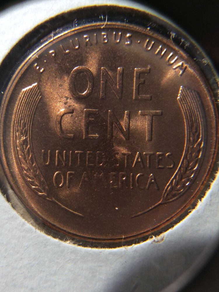 1955-S-Grade?