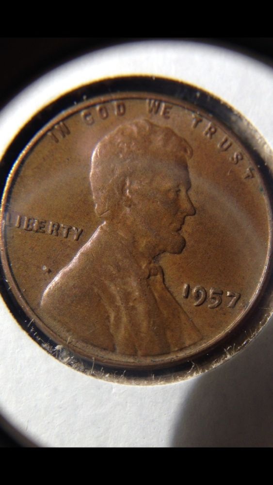 A-Pair-Of-1983-LMC's--Bie?-Chip?