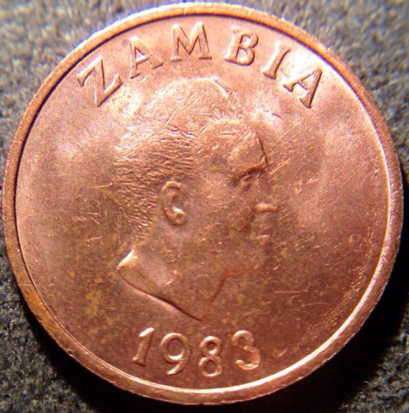 Coinstar-Finds!-Including-Bank-Counters-And-Other-Machines