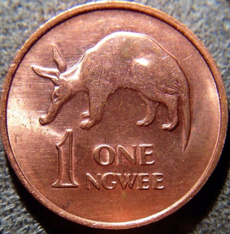 Coinstar-Finds!-Including-Bank-Counters-And-Other-Machines