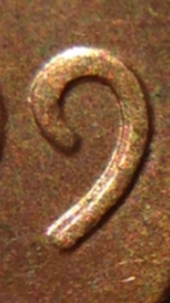 1999-D-DDO?