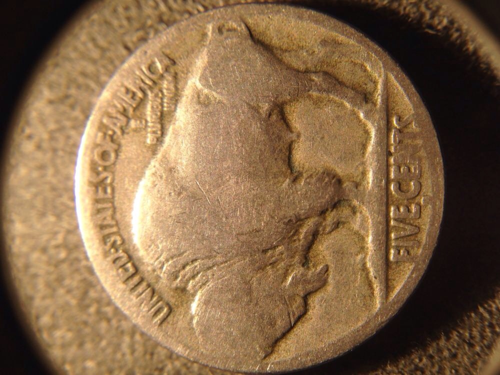 1920-D-Buffalo-Nickel