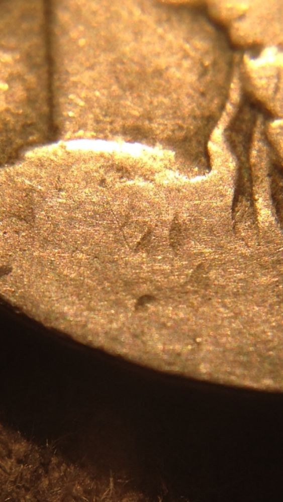 1920-D-Buffalo-Nickel