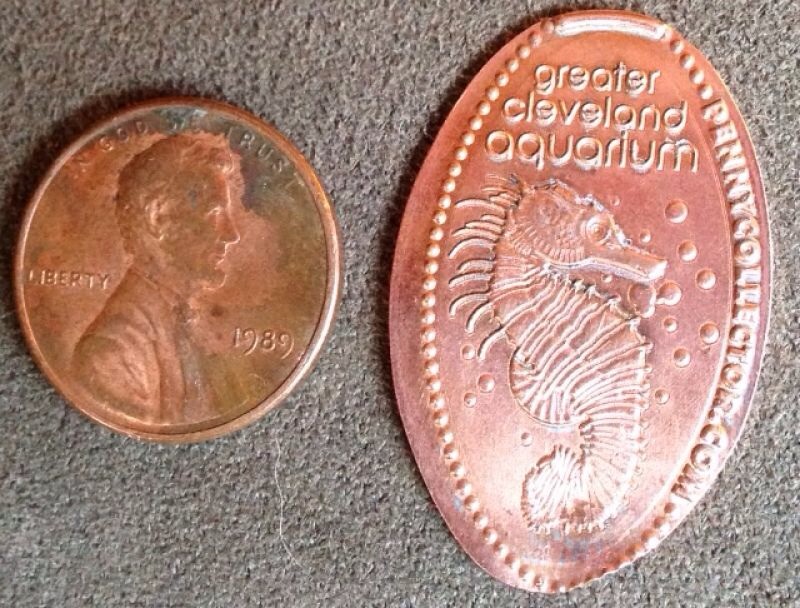 Coinstar-Finds!-Including-Bank-Counters-And-Other-Machines