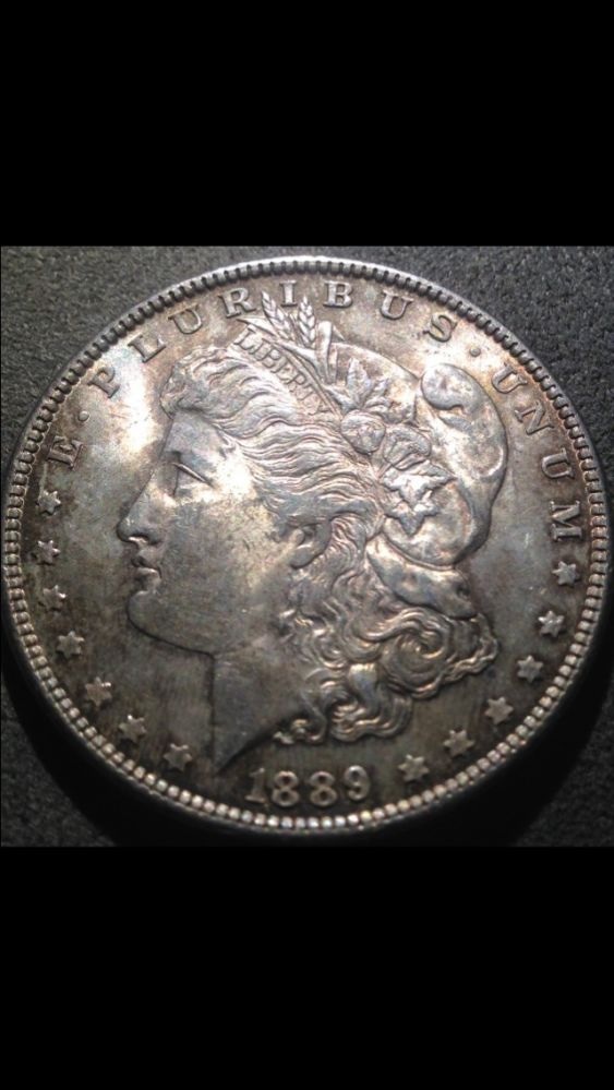 Continuing-List-To-Show-Everyones-Latest-Acquisitions