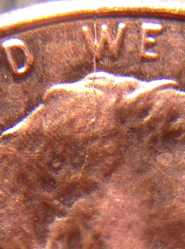 2013-LSC-Spiked-Head