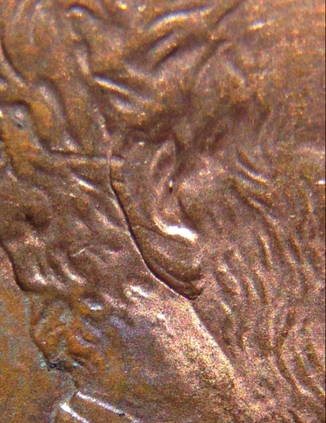 1997-LMC-Doubled-Ear-1-D0-001