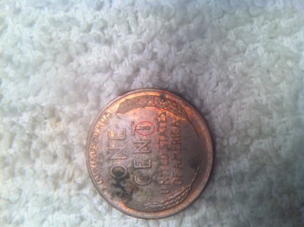 Just-Found-My-Great-Grondmothers-Penny-Collection!
