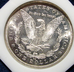 !878-CC-Morgan-Bright--Pl?--But-Some-Rough-Spots-Need-Advice