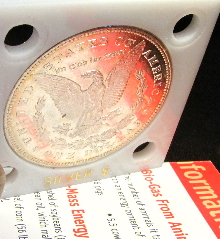 !878-CC-Morgan-Bright--Pl?--But-Some-Rough-Spots-Need-Advice