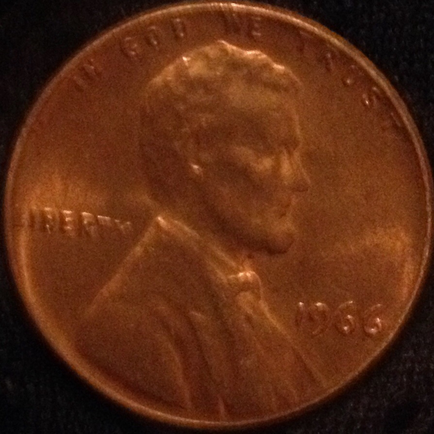 1966-C-Lincoln-Double-Nose,-Eye,-Back-Shoulder-Fat-Ear-Lobe?