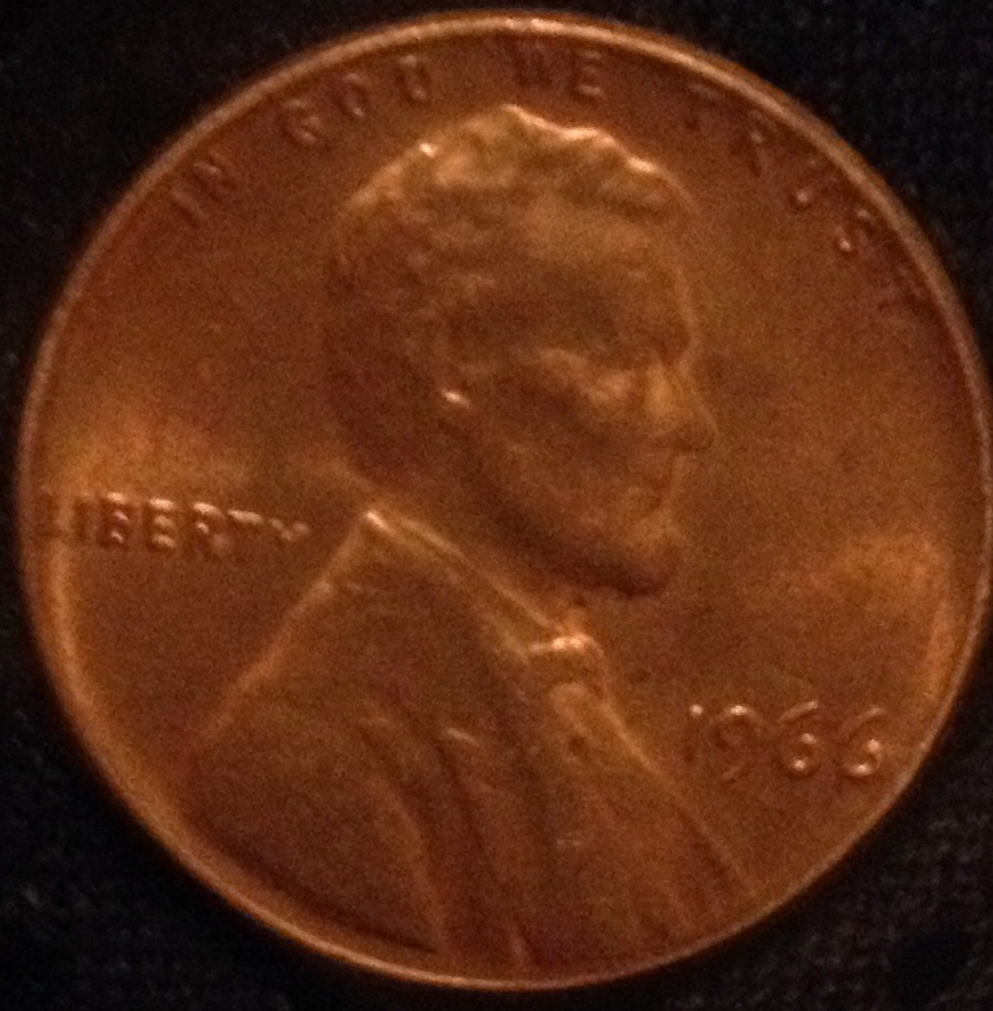 1966-C-Lincoln-Double-Nose,-Eye,-Back-Shoulder-Fat-Ear-Lobe?