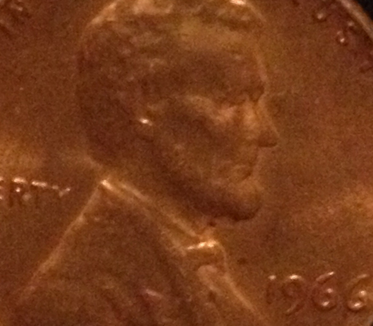 1966-C-Lincoln-Double-Nose,-Eye,-Back-Shoulder-Fat-Ear-Lobe?