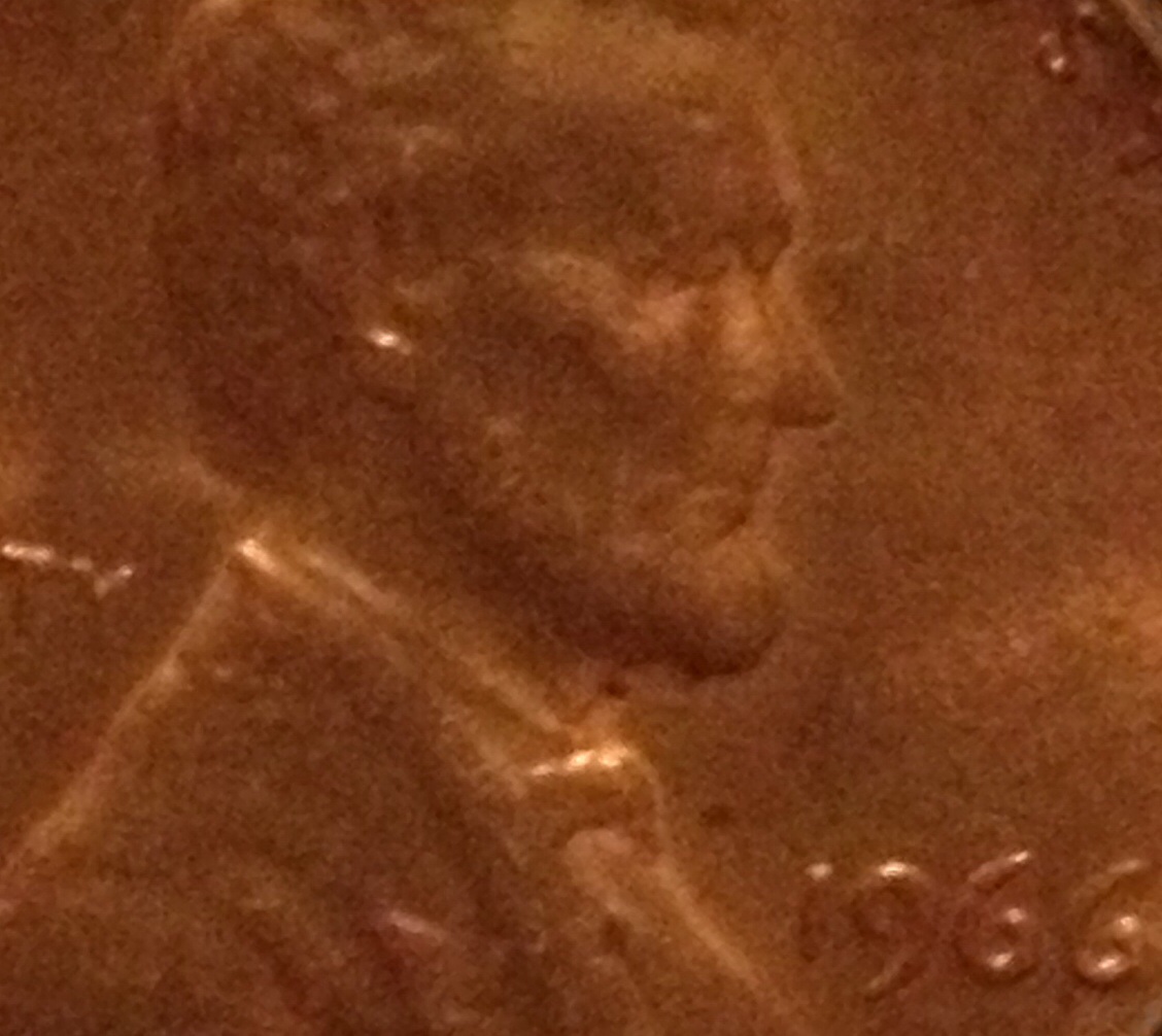 1966-C-Lincoln-Double-Nose,-Eye,-Back-Shoulder-Fat-Ear-Lobe?