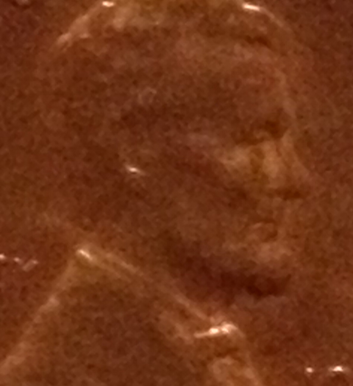 1966-C-Lincoln-Double-Nose,-Eye,-Back-Shoulder-Fat-Ear-Lobe?