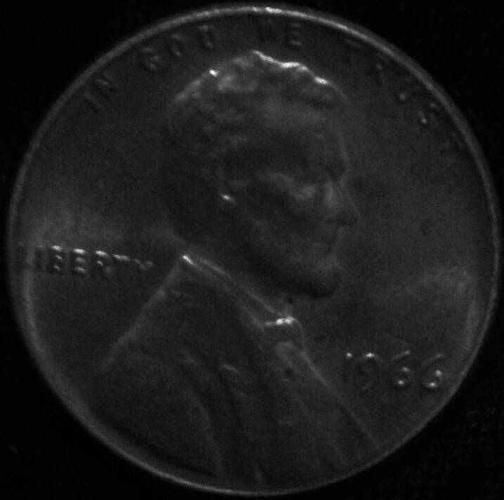 1966-C-Lincoln-Double-Nose,-Eye,-Back-Shoulder-Fat-Ear-Lobe?