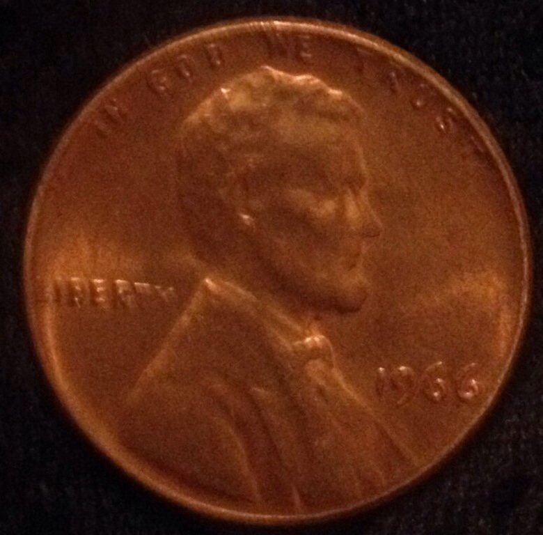 1966-C-Lincoln-Double-Nose,-Eye,-Back-Shoulder-Fat-Ear-Lobe?